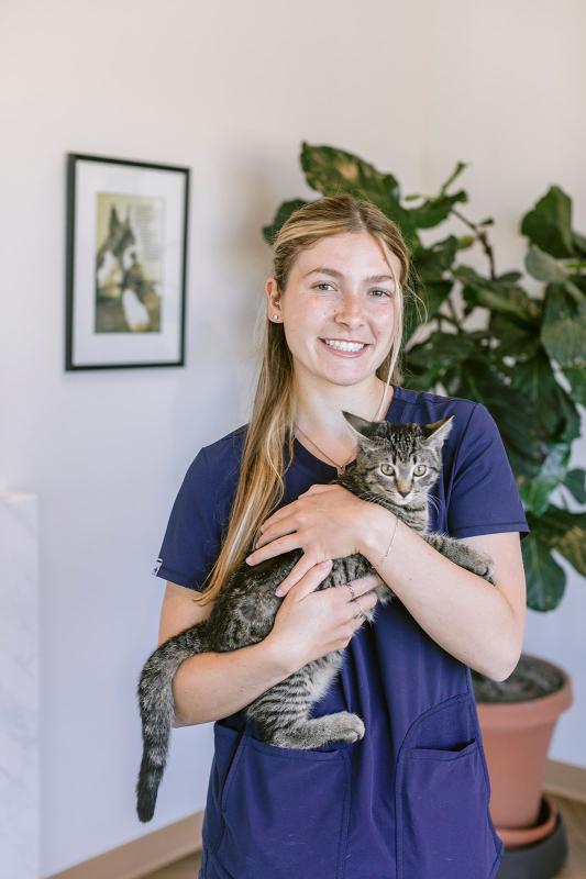 Journey , Kennel/Veterinary Assistant Journey , Kennel/Veterinary Assistant