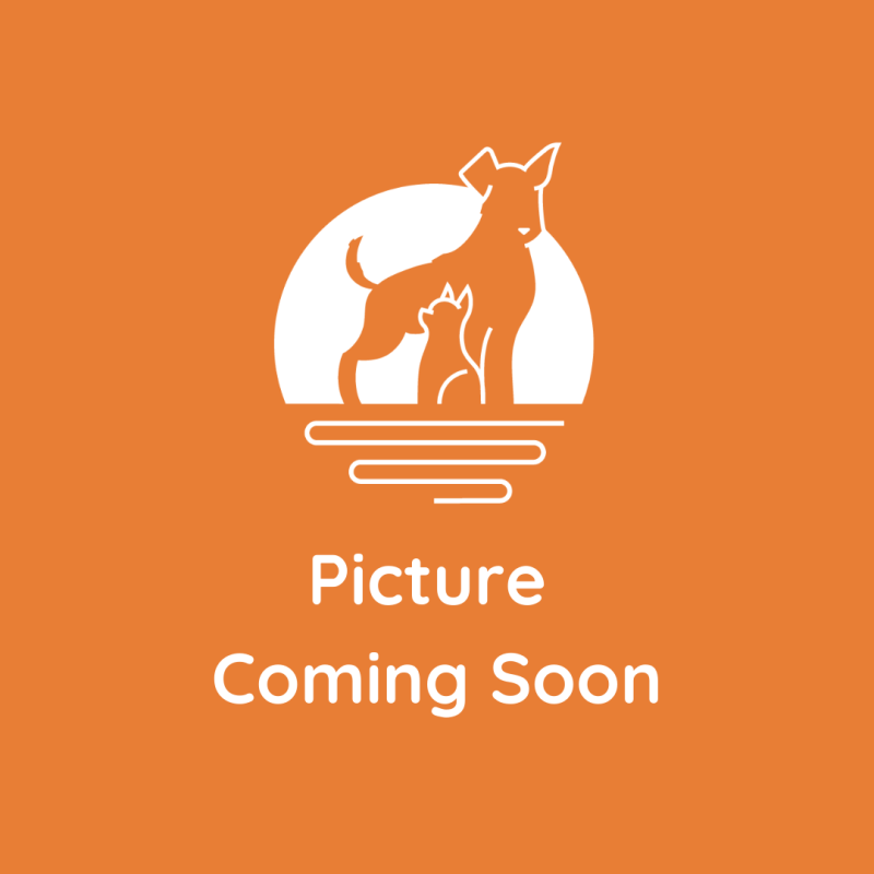 Colin Cianciarulo, Kennel/Veterinary Assistant Colin Cianciarulo, Kennel/Veterinary Assistant