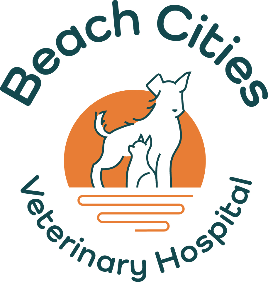 Beach Cities Veterinary Hospital