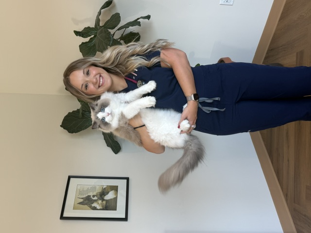 Lacey , Registered Veterinary Technician Lacey , Registered Veterinary Technician